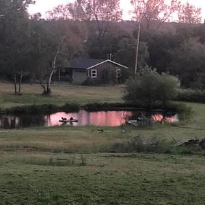 Meet your Posher, Alison